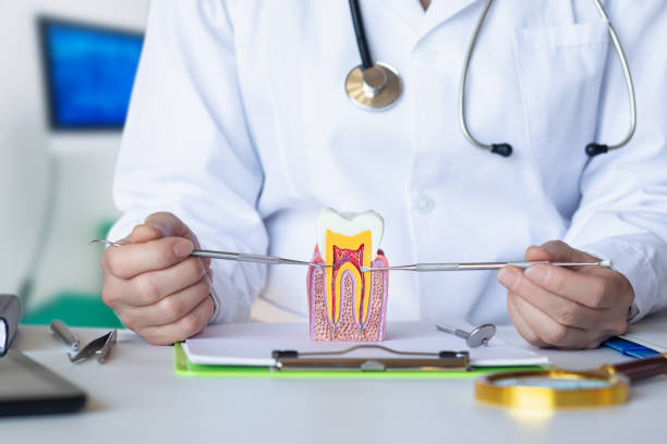 Best Root Canal Emergency Dentist  in Linden, NJ